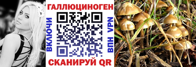 Галлюциногенные грибы Psilocybine cubensis  Петухово 